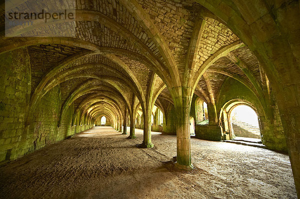 Gotische Bögen der großen Halle in den Ruinen von Fountains Abbey  North Yorkshire  England  Großbritannien