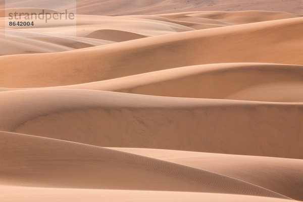 Namib-Wüste  Namibia