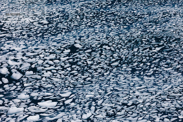Eisbrocken schwimmend  Antarktis