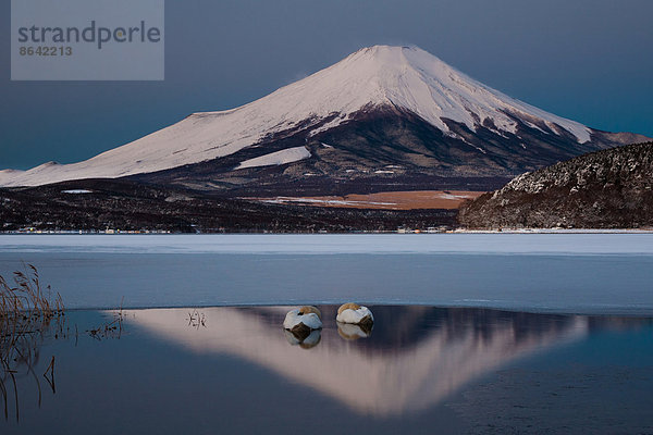 Ein stummes Schwanenpaar im Kawaguchi-See in der Spiegelung des Fuji-Berges  Japan