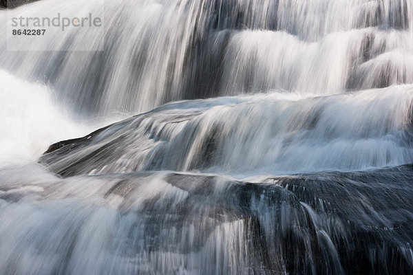 Wasserfall  Grandfather Mountain State Park  North Carolina  USA