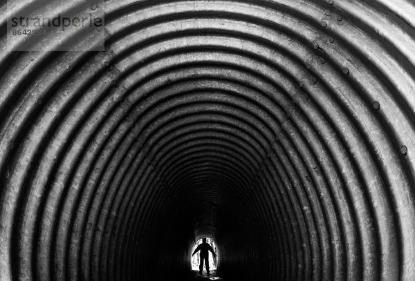 Fußgängertunnel  Olympic National Park  Washington  USA