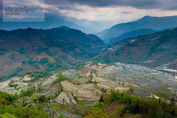 Terrassierte Reisfelder  Yuanyang  China