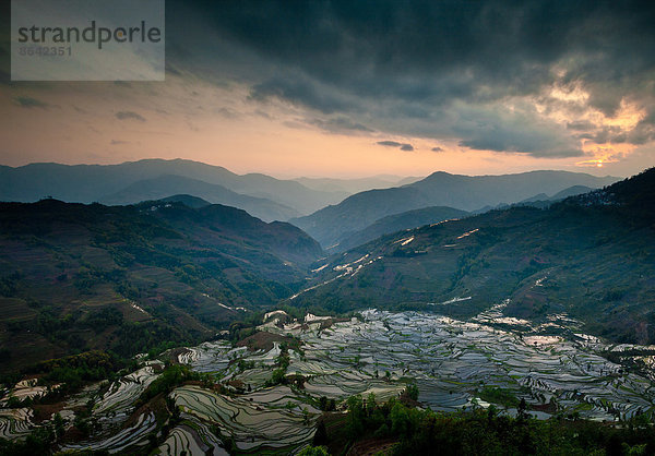 Terrassierte Reisfelder  Yuanyang  China