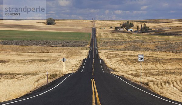 Eine gerade Landstraße durch Felder  die sich bei Palouse  Washington  in die Ferne erstreckt