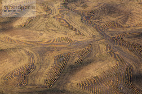 Ackerlandschaft mit gepflügten Feldern und Furchen in Palouse  Washington  USA