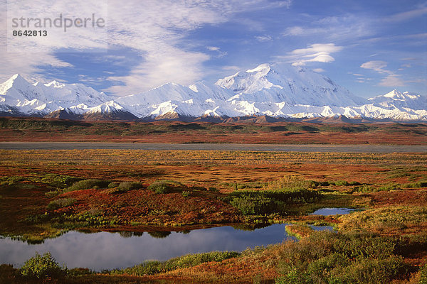 Tundra und Kesselteich im Denali-Nationalpark  Alaska im Herbst. Im Hintergrund der Mount McKinley.