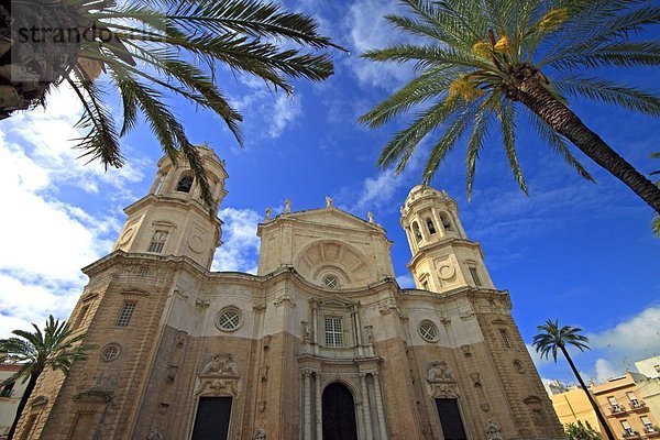 Catedral Nueva  Cadiz  Andalusien  Spanien  Europa