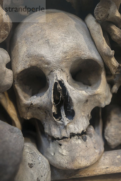 Menschlicher Schädel zwischen verschiedenen Knochen  Nahaufnahme