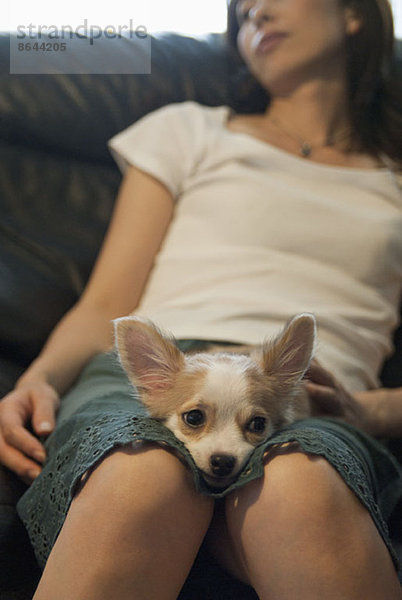 Junge Frau mit Hund auf Sofa sitzend