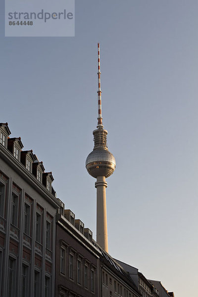 Alexanderplatz Fernsehturm  hinter Wohnhäusern  Berlin  Deutschland