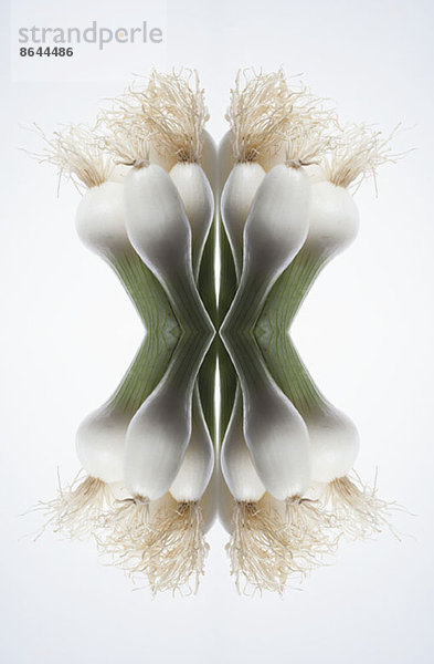 Eine digitale Komposition von Spiegelbildern der Spitzen eines Straußes von Frühlingszwiebeln.
