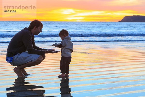 Vater und Kleinkind spielen am Strand  San Diego  Kalifornien  USA