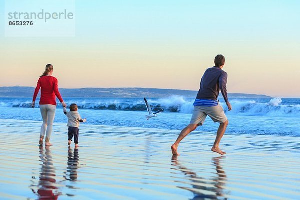 Familie und Kleinkind spielen am Strand  San Diego  Kalifornien  USA