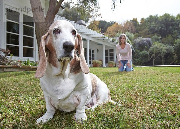 Hund sitzt auf Gras  Frau im Hintergrund