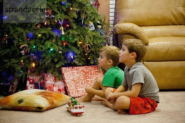 Zwei versunkene junge Brüder sitzen neben dem Weihnachtsbaum.
