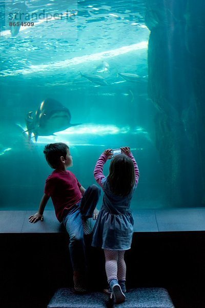 Junge Geschwister beim Fotografieren auf dem Fotohandy im Aquarium