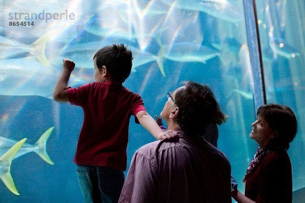 Kleine Kinder und Großeltern beim Betrachten von Fischen im Aquarium