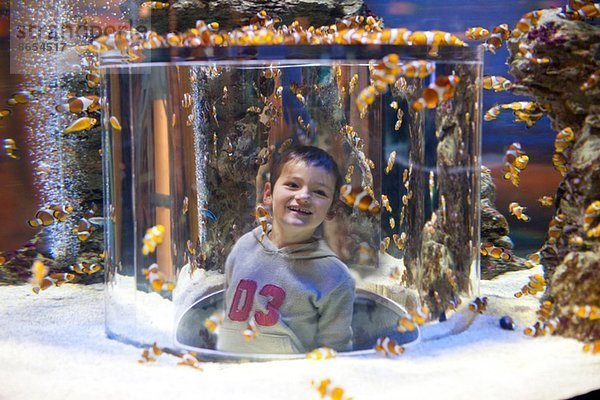 Junge genießt den Blick in ein Aquarium