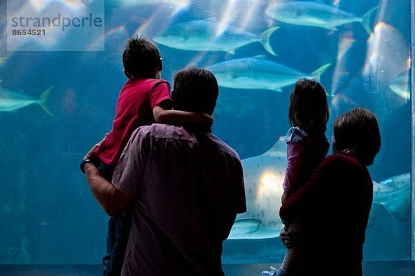 Großeltern und Enkelkinder beim Betrachten von Fischen im Aquarium