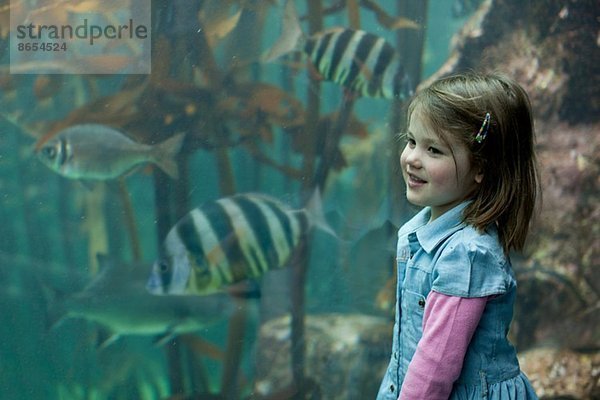 Junges Mädchen genießt tropische Fische im Aquarium