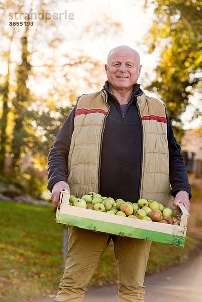 Senior Mann mit Apfelkiste