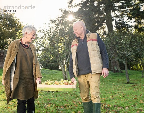 Seniorenpaar mit Apfelkiste