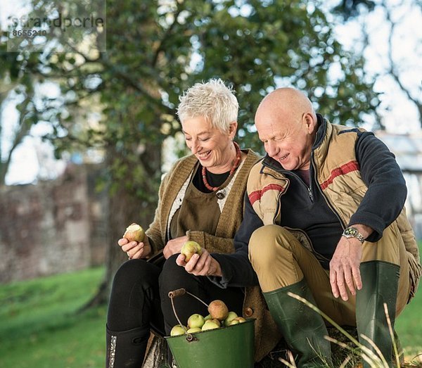 Seniorenpaar bewundert Äpfel aus dem Eimer