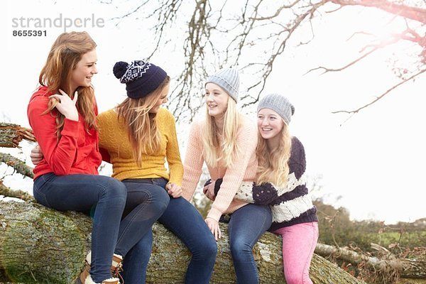 Vier Teenager-Mädchen sitzen auf dem Baumstamm
