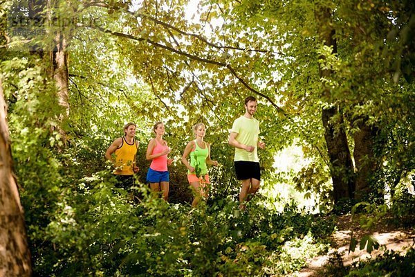 Gruppe von Läufern  die im Wald laufen