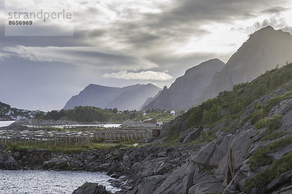 Küste mit Trockengestellen  Moskenes  Lofoten  Nordland  Norwegen