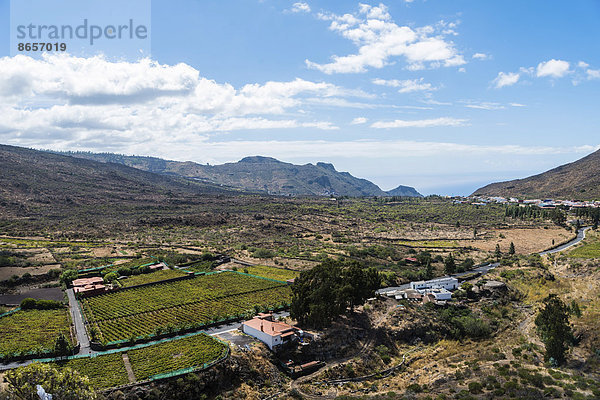 Plantagen bei Santiago del Teide  Vulkanlandschaft  Teneriffa  Kanarische Inseln  Spanien