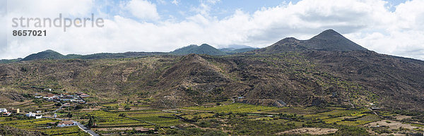 Panorama  Plantagen bei Santiago del Teide  Vulkanlandschaft  Teneriffa  Kanarische Inseln  Spanien