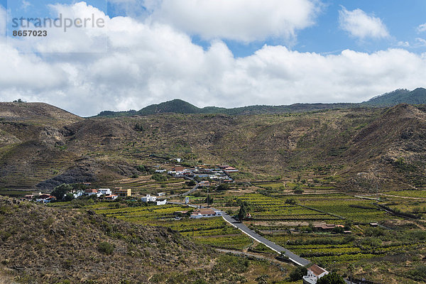 Plantagen bei Santiago del Teide  Vulkanlandschaft  Teneriffa  Kanarische Inseln  Spanien