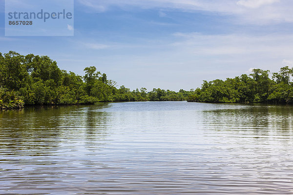 Madampe See  Naturschutzgebiet bei Godahena  Region Galle  Südprovinz  Sri Lanka