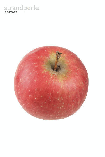 Apfel der Sorte Summerred