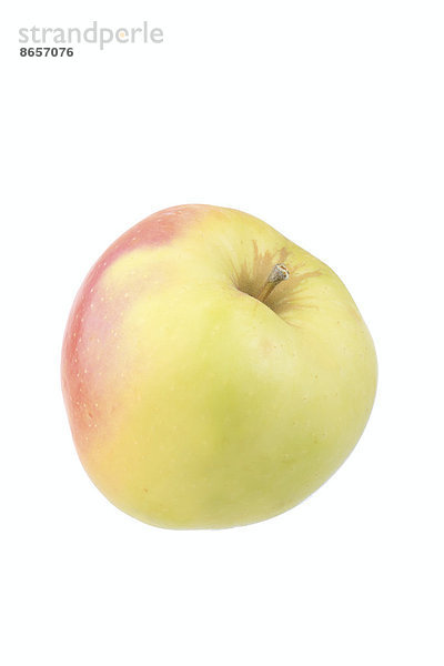 Apfel der Sorte Spätblühender Taffetapfel