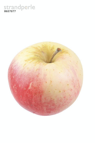 Apfel der Sorte Sommerzimtapfel