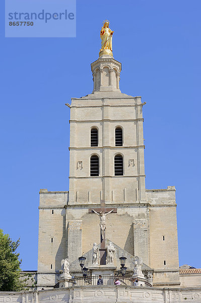 Kathedrale Notre-Dame des Doms und Jesuskreuz  Avignon  Vaucluse  Provence-Alpes-Cote d'Azur  Südfrankreich  Frankreich