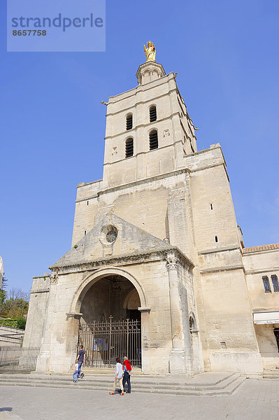 Kathedrale Notre-Dame des Doms  Avignon  Vaucluse  Provence-Alpes-Cote d'Azur  Südfrankreich  Frankreich