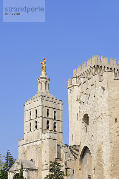 Frankreich Kathedrale Palast Schloß Schlösser Provence - Alpes-Cote d Azur Avignon Vaucluse Südfrankreich