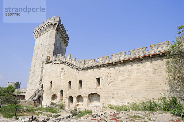 Burg Beaucaire  Beaucaire  Département Gard  Languedoc-Roussillon  Südfrankreich  Frankreich