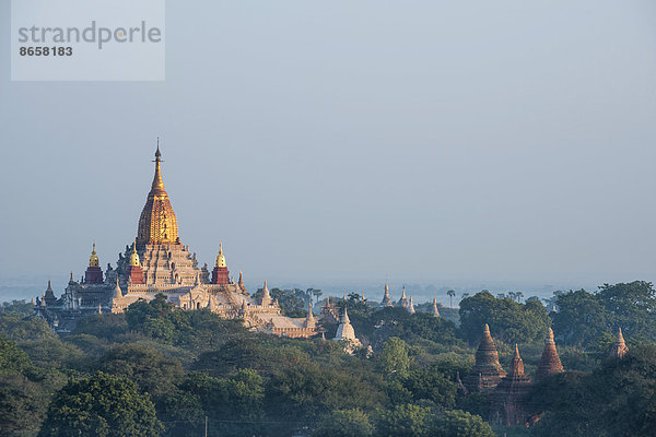 Ananda-Tempel  vergoldeter Turmaufbau oder Shikhara  Thatbyinnyu Tempel  Stupa  Pagode  Tempelanlage  im Abendlicht  Ebene von Bagan  Mandalay-Division  Myanmar