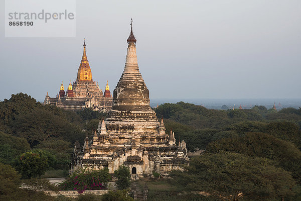 Ananda-Tempel  vergoldeter Turmaufbau oder Shikhara  Stupa  Pagode  Tempelanlage  Ebene von Bagan  Mandalay-Division  Myanmar