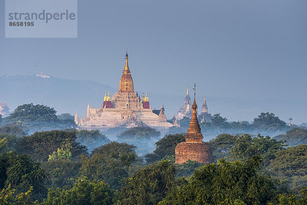 Ananda-Tempel im Morgennebel  blaue Stunde  vergoldeter Turmaufbau oder Shikhara  Stupa  Pagode  Tempelanlage  Ebene von Bagan  Mandalay-Division  Myanmar