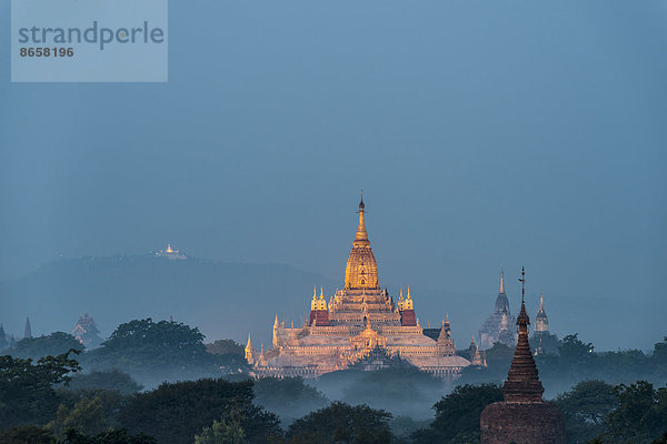 Ananda-Tempel im Morgennebel  blaue Stunde  vergoldeter Turmaufbau oder Shikhara  Stupa  Pagode  Tempelanlage  Ebene von Bagan  Mandalay-Division  Myanmar