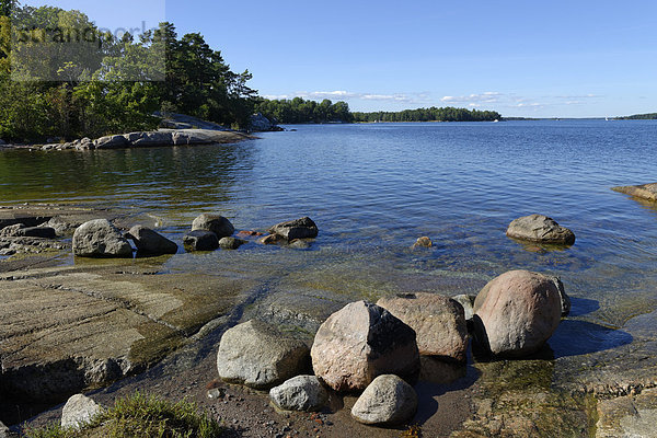 Typische rund geschliffene Felsen  Rundhöcker  auf der Insel Finnhamn im mittleren Stockholmer Schärengarten  Stockholm  Schweden