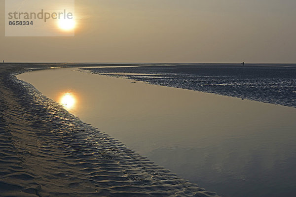 Sonnenuntergang im Wattenmeer  Langeoog  Ostfriesland  Niedersachsen  Deutschland