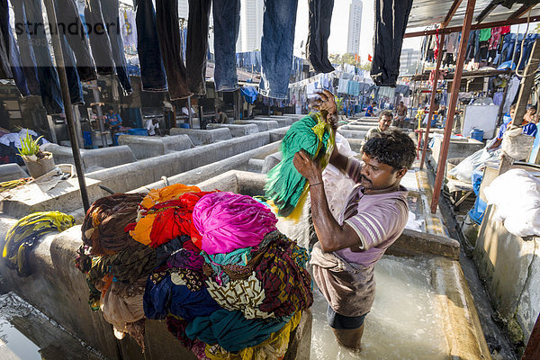 Arbeiter waschen Kleidung am Mahalaxmi Dhobi Ghat  Waschviertel  Mumbai  Maharashtra  Indien
