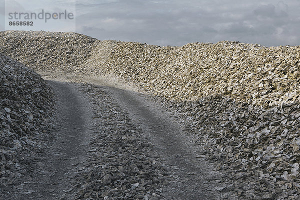 Straße  die durch Haufen ausrangierter Austernschalen führt Oysterville USA